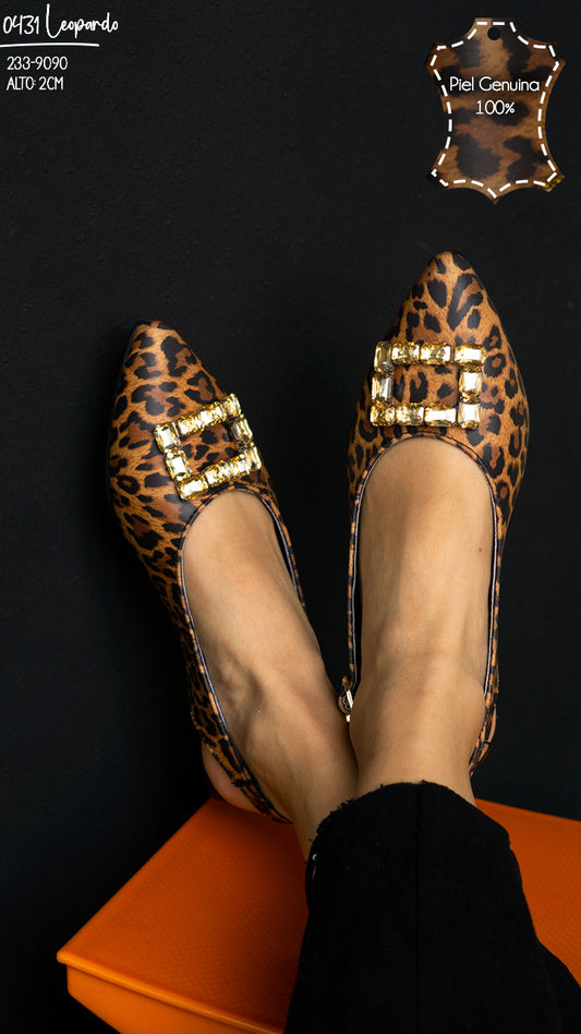 0431 leopardo
